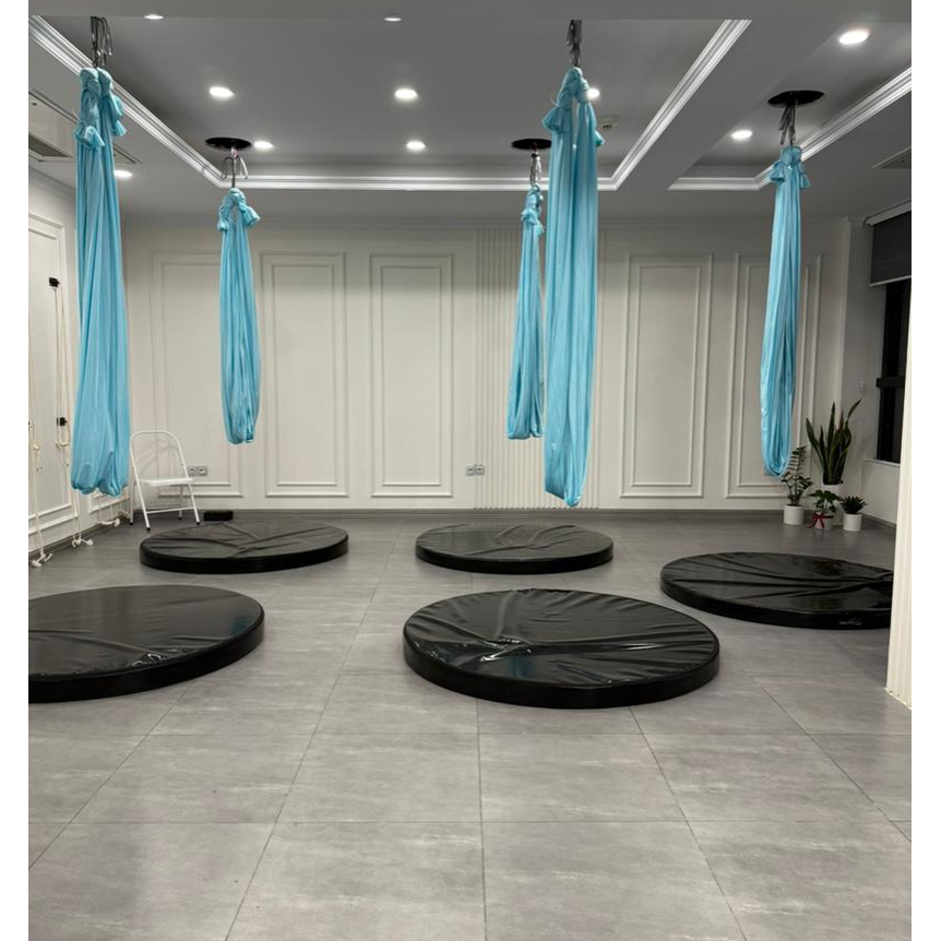 آکادمی تخصصی یوگا و اریال آنیتا راددر